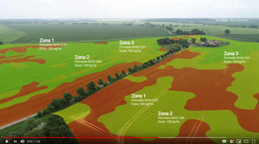 Video Pix4Dfields: Software de interpretación para agricultura