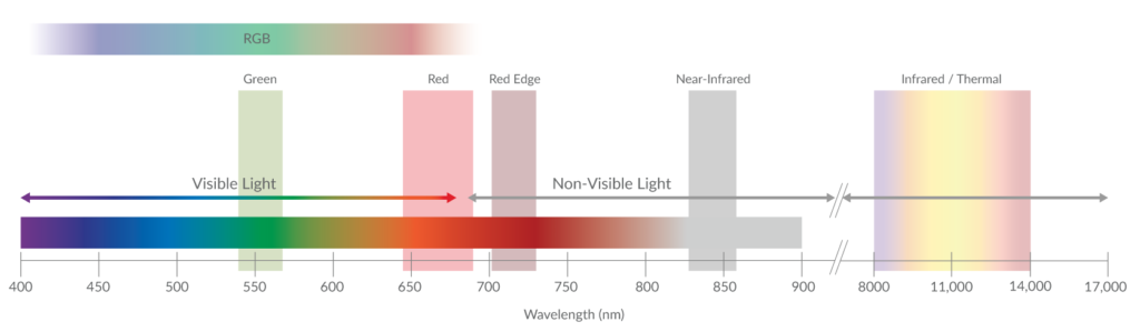 Análisis multiespectral con dron