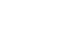 FLYBOTIX